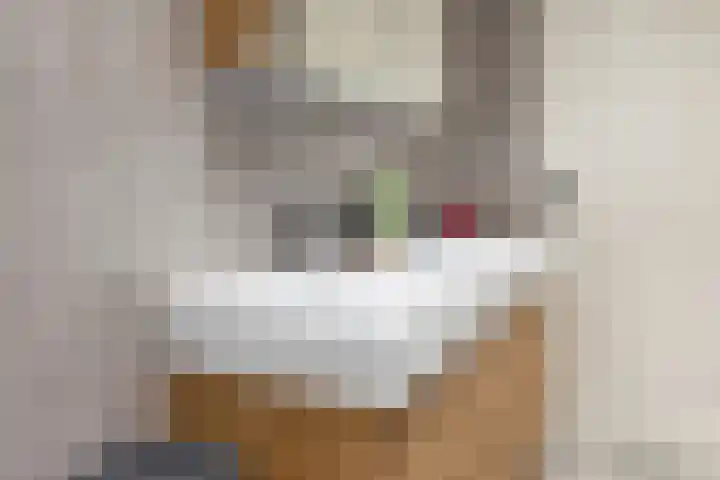 Bersebastraat 6 Kootwijkerbroek thumbnail 30