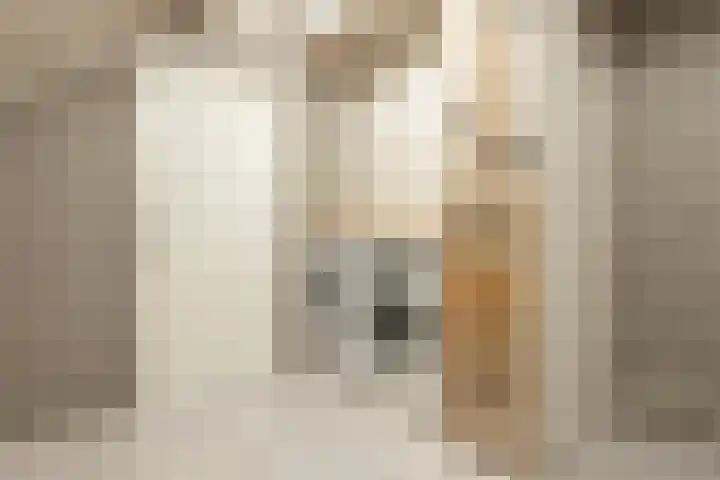 Bersebastraat 6 Kootwijkerbroek thumbnail 44
