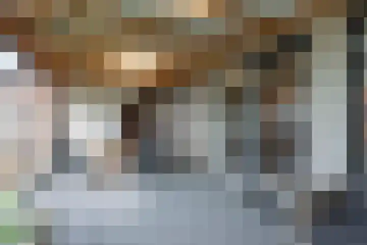 Bersebastraat 6 Kootwijkerbroek thumbnail 48