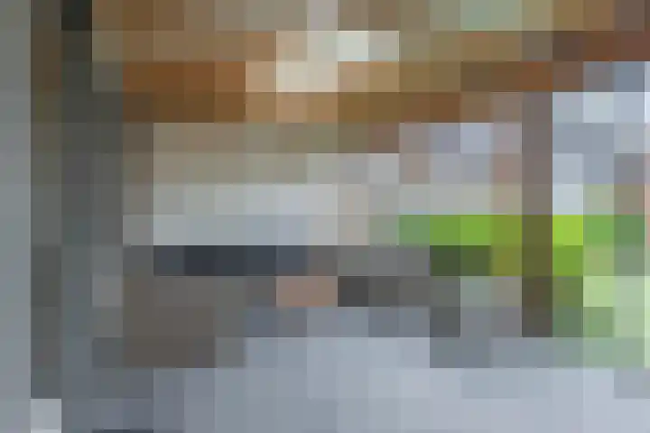 Bersebastraat 6 Kootwijkerbroek thumbnail 49