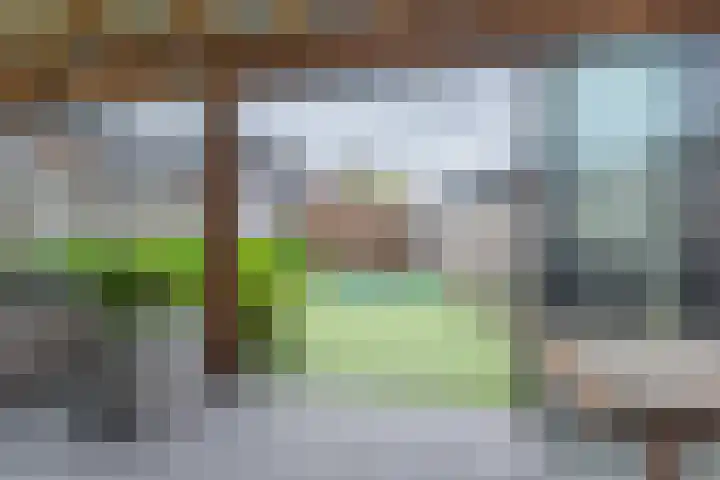 Bersebastraat 6 Kootwijkerbroek thumbnail 50