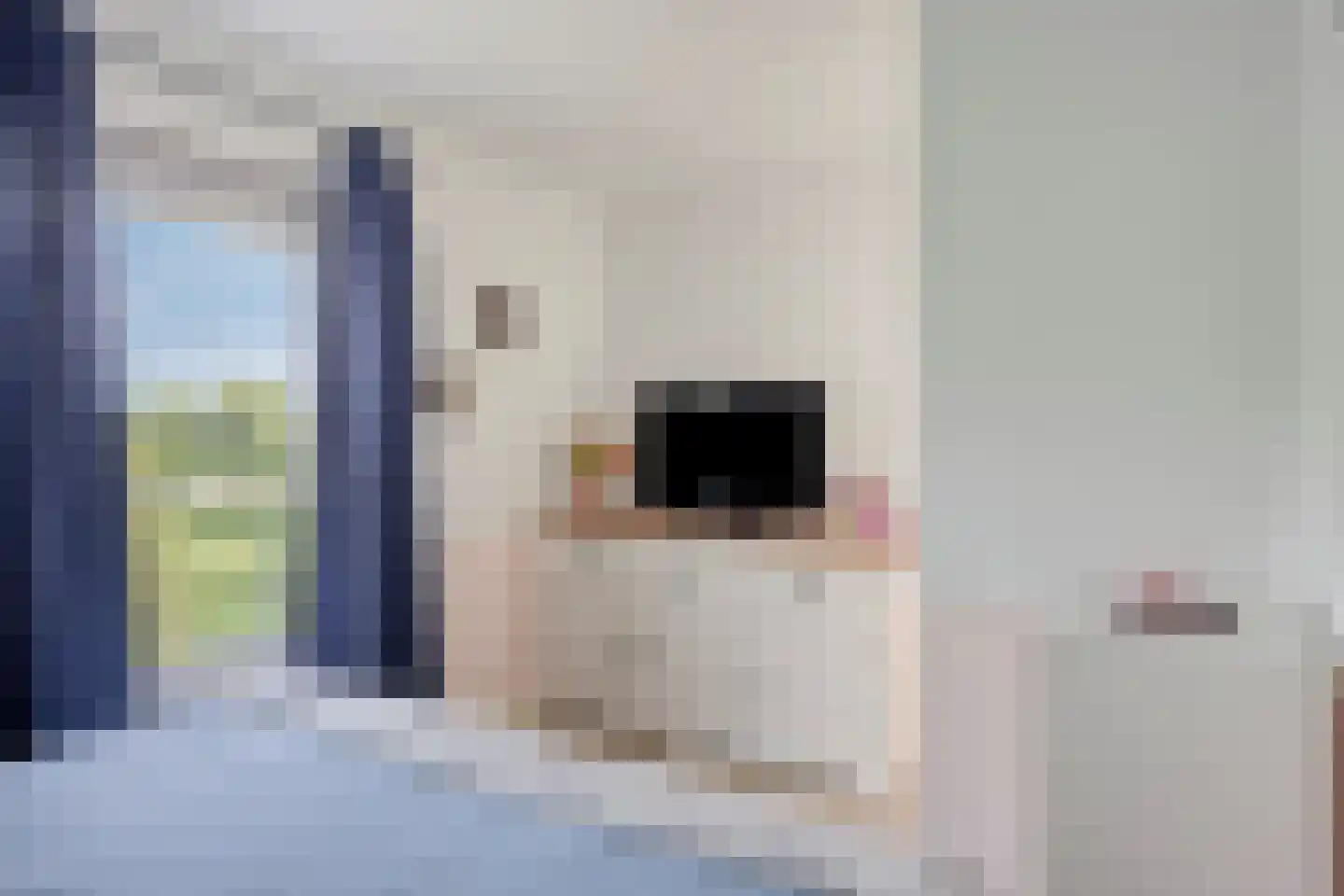 Bert Garthoffpad 5 Oegstgeest thumbnail 32