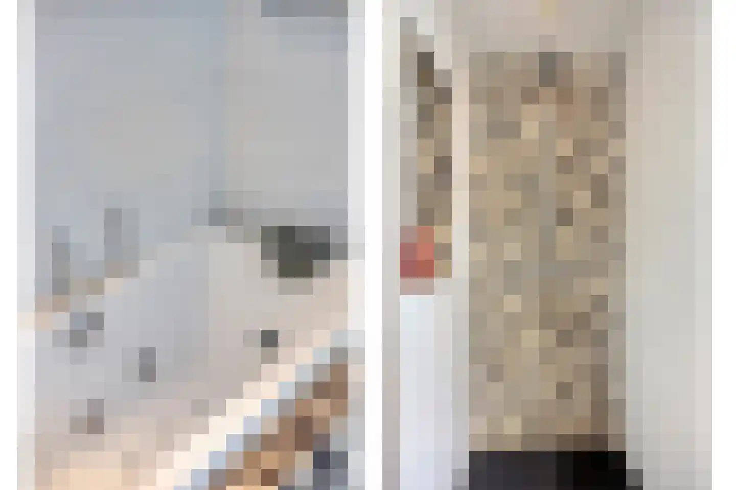 Bert Garthoffpad 5 Oegstgeest thumbnail 36