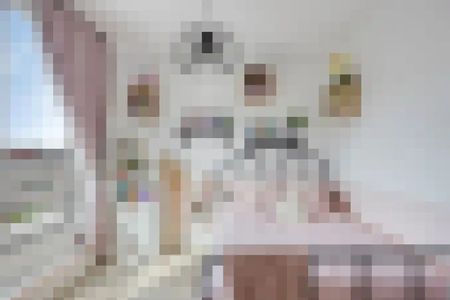 Bert Garthoffpad 5 Oegstgeest thumbnail 41