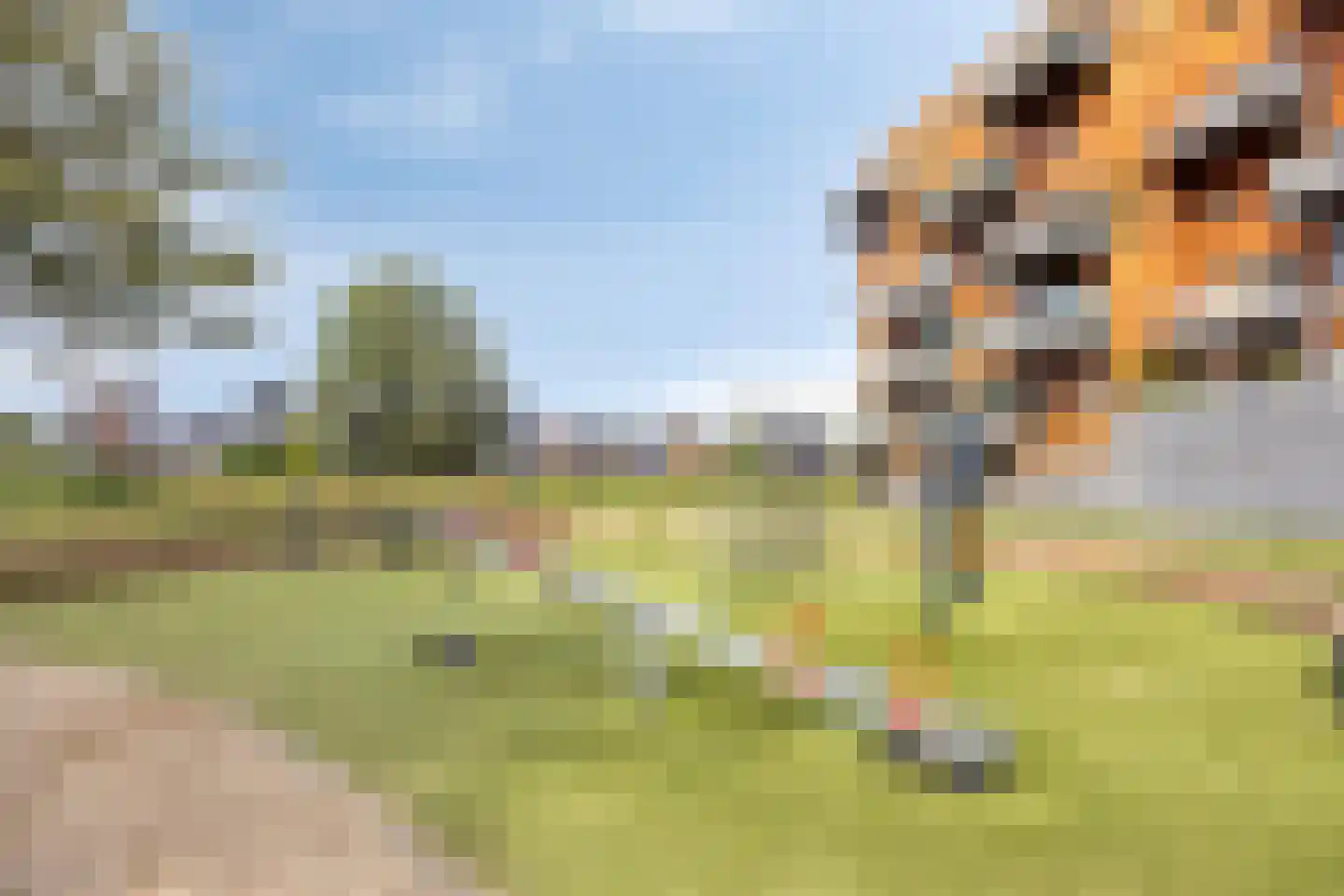 Bert Garthoffpad 5 Oegstgeest thumbnail 51
