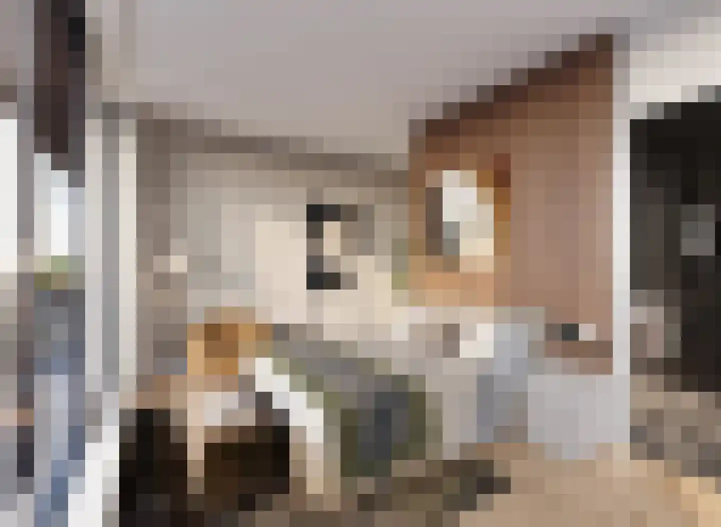 Bert Haanstrahof 126 Schiedam thumbnail 4