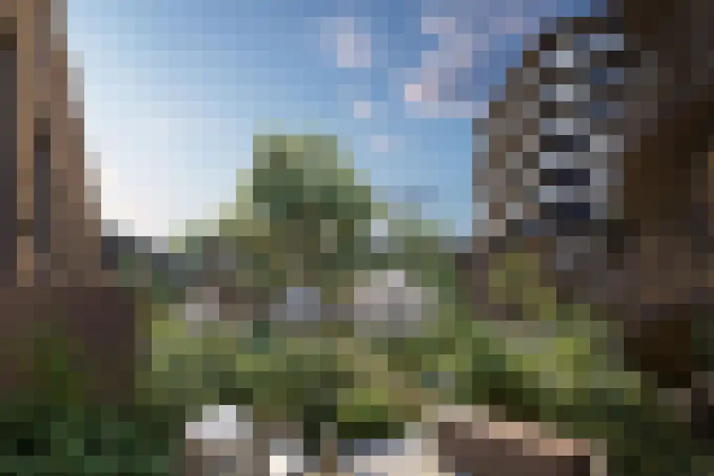Bert Haanstrahof 126 Schiedam thumbnail 5