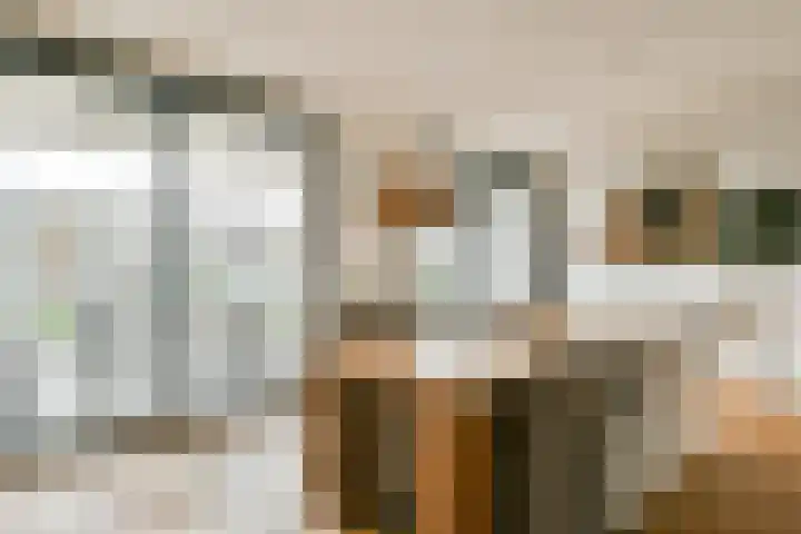 Bert Haanstrahof 14 Amsterdam thumbnail 11