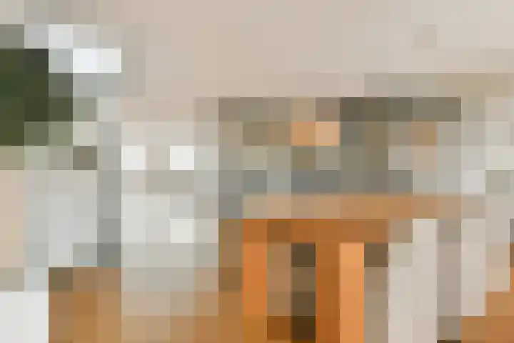 Bert Haanstrahof 14 Amsterdam thumbnail 12