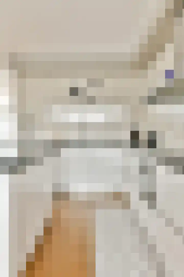 Bert Haanstrahof 14 Amsterdam thumbnail 16