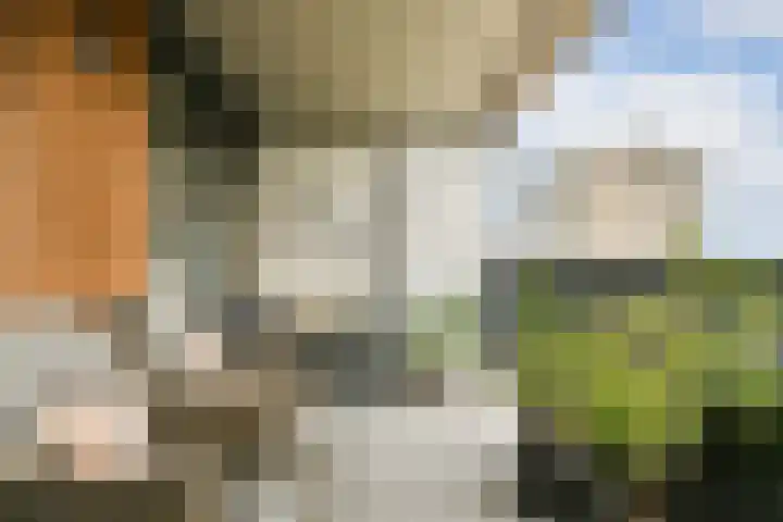 Bert Haanstrahof 14 Amsterdam thumbnail 18
