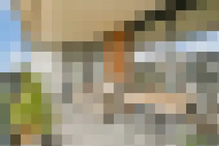 Bert Haanstrahof 14 Amsterdam thumbnail 19