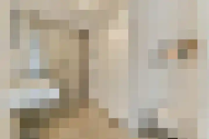 Bert Haanstrahof 14 Amsterdam thumbnail 23