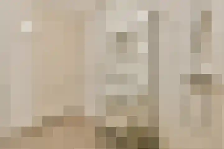Bert Haanstrahof 14 Amsterdam thumbnail 24