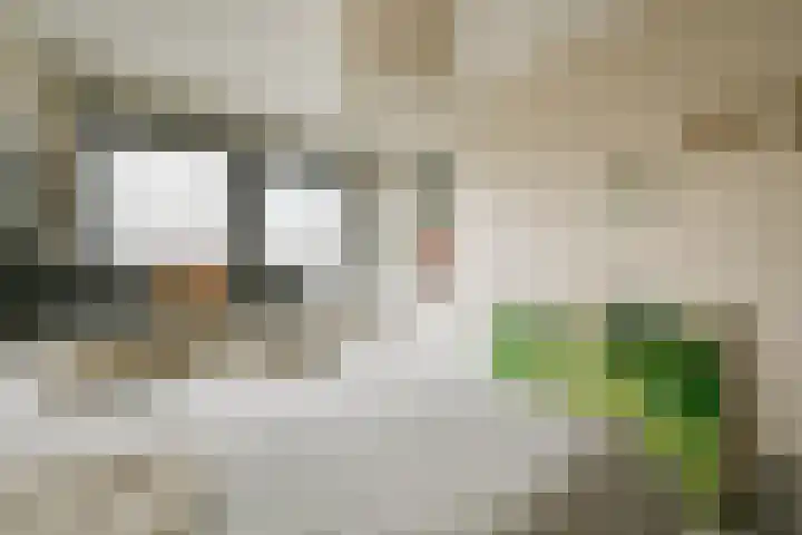 Bert Haanstrahof 14 Amsterdam thumbnail 25