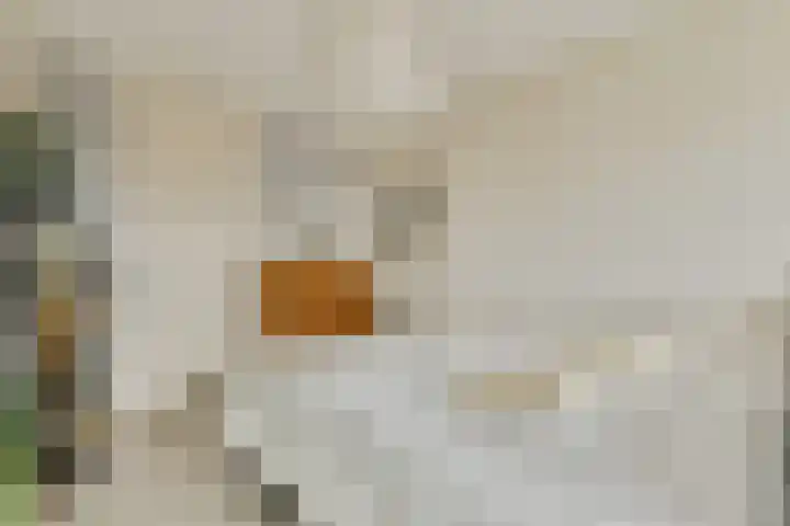 Bert Haanstrahof 14 Amsterdam thumbnail 26