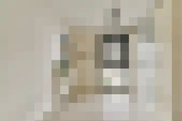 Bert Haanstrahof 14 Amsterdam thumbnail 27