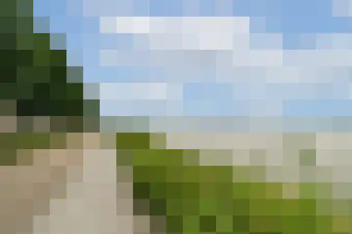 Bert Haanstrahof 14 Amsterdam thumbnail 37