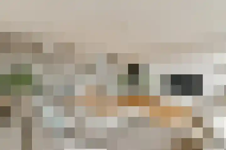 Bert Haanstrahof 14 Amsterdam thumbnail 4