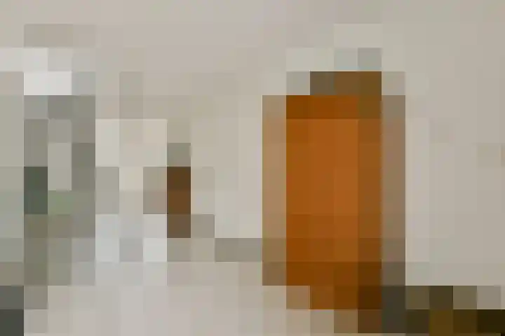 Bert Haanstrahof 14 Amsterdam thumbnail 8