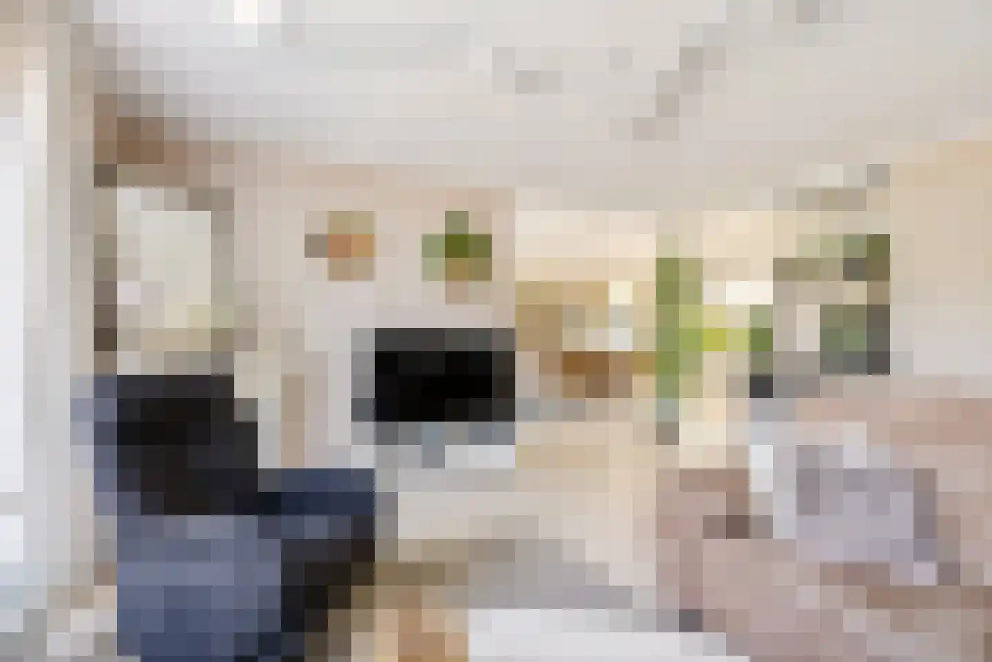 Bert Haanstrahof 20 Almere thumbnail 10