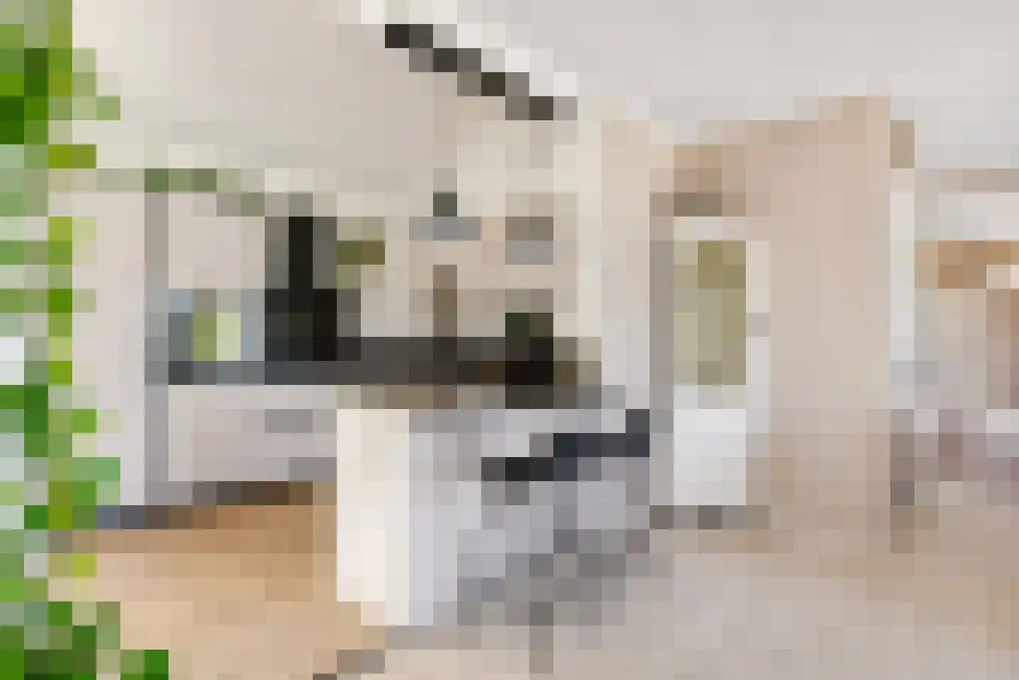 Bert Haanstrahof 20 Almere thumbnail 11