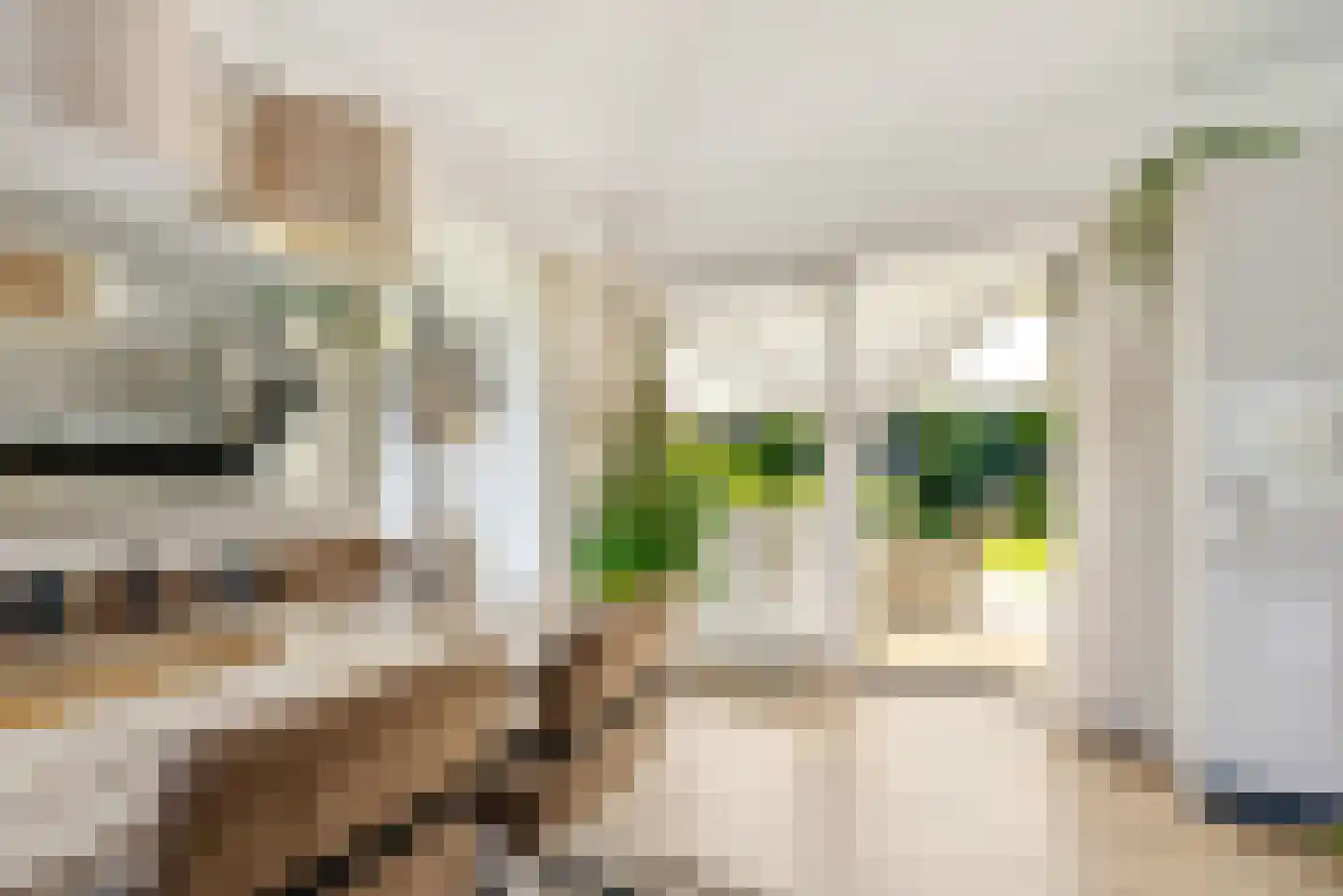 Bert Haanstrahof 20 Almere thumbnail 15