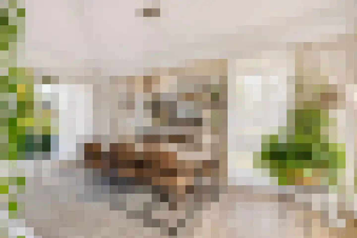 Bert Haanstrahof 20 Almere thumbnail 16