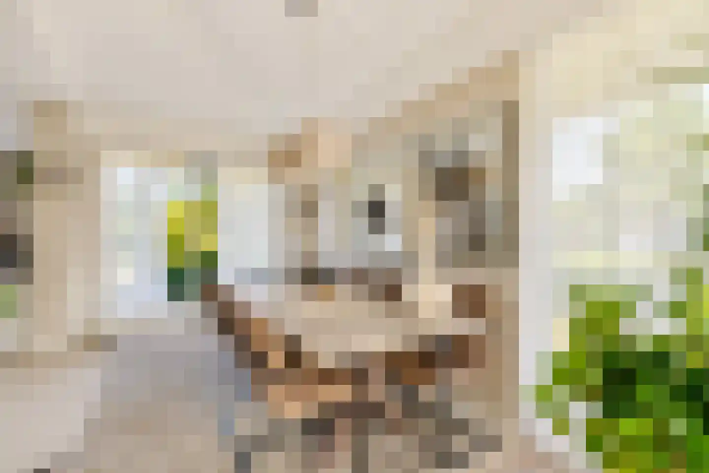 Bert Haanstrahof 20 Almere thumbnail 17