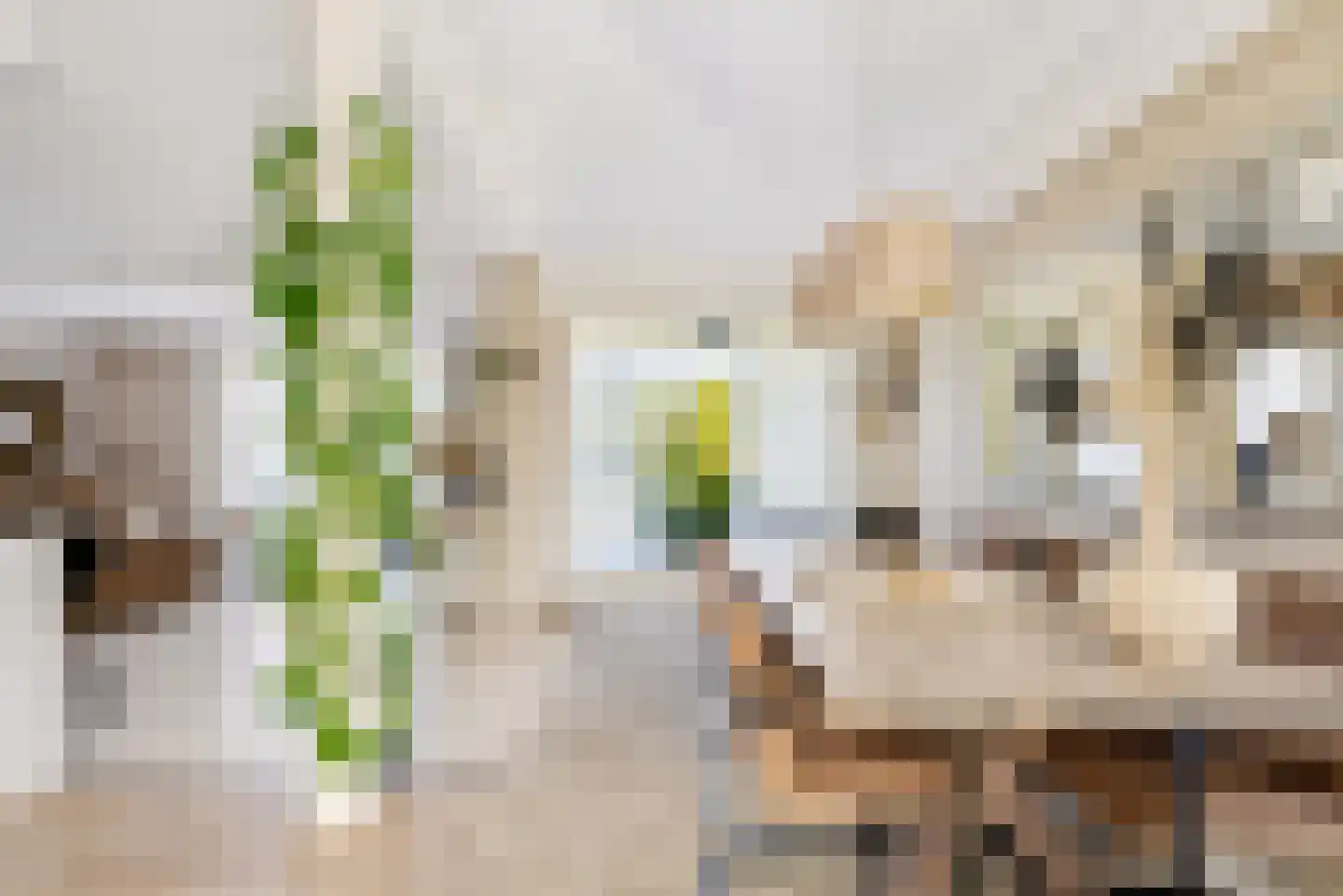 Bert Haanstrahof 20 Almere thumbnail 19