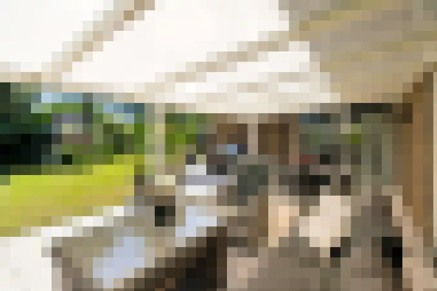 Bert Haanstrahof 20 Almere thumbnail 30