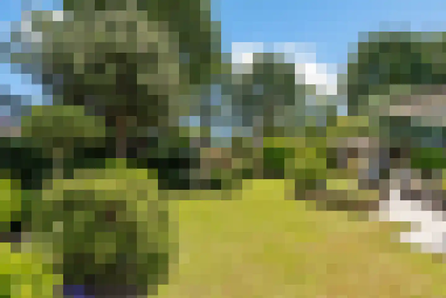 Bert Haanstrahof 20 Almere thumbnail 31