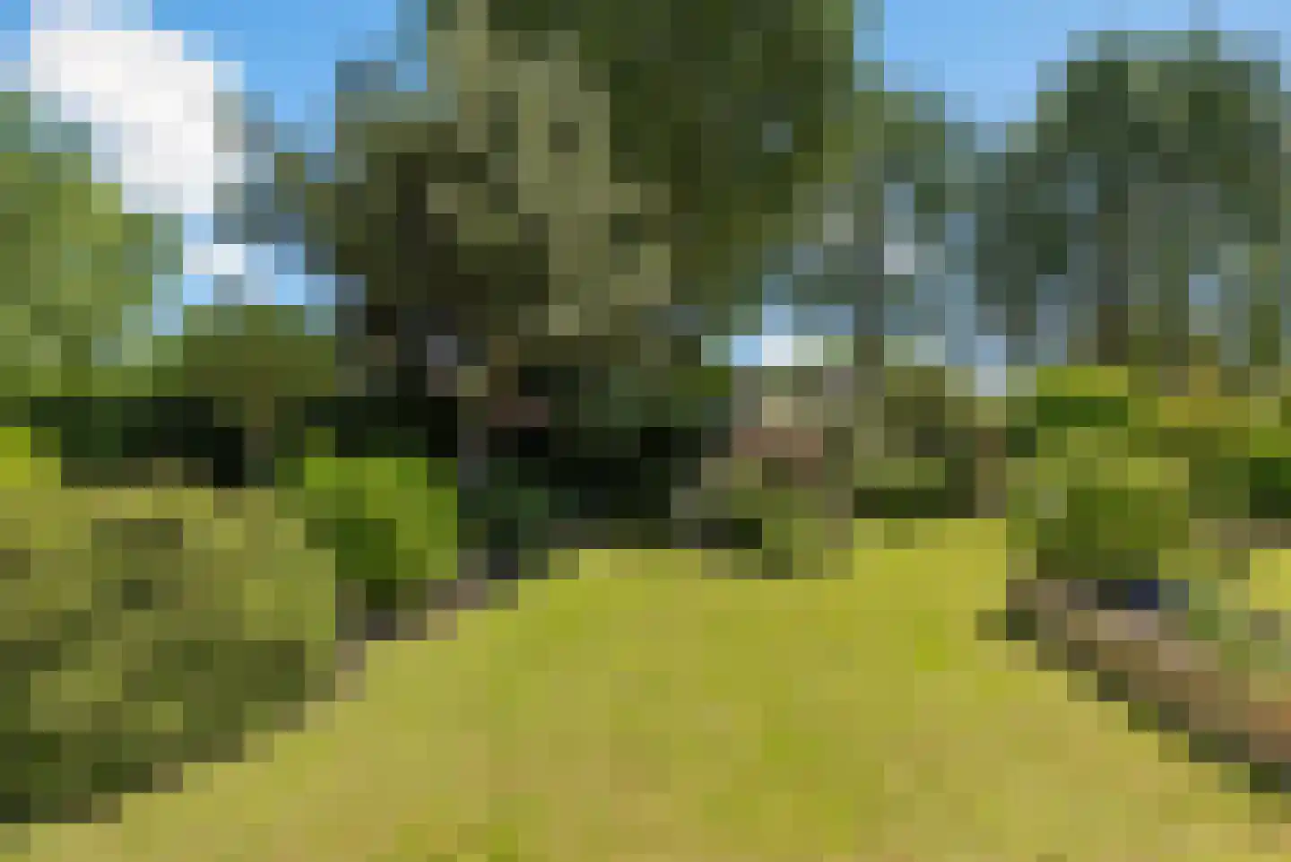 Bert Haanstrahof 20 Almere thumbnail 32