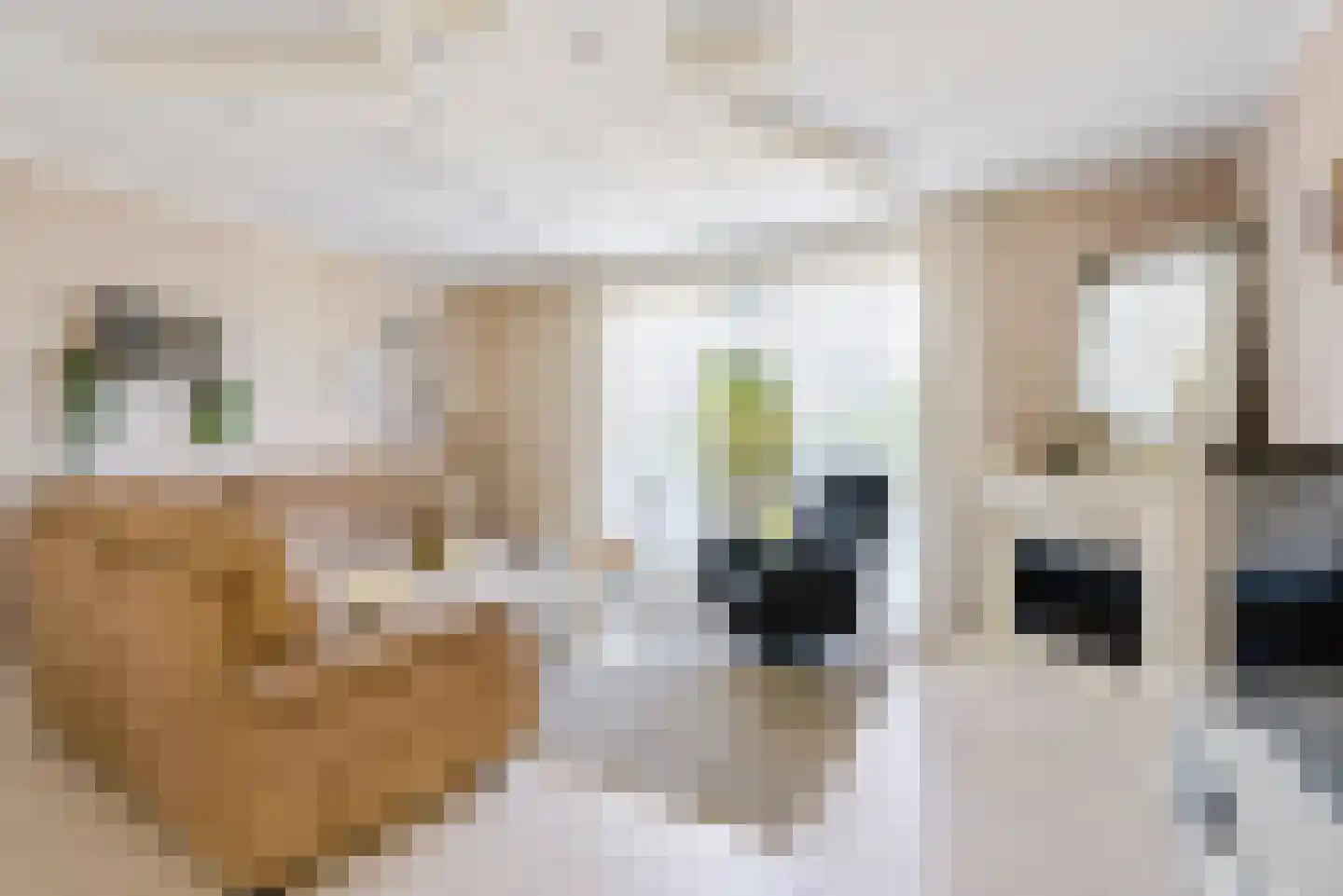 Bert Haanstrahof 20 Almere thumbnail 4