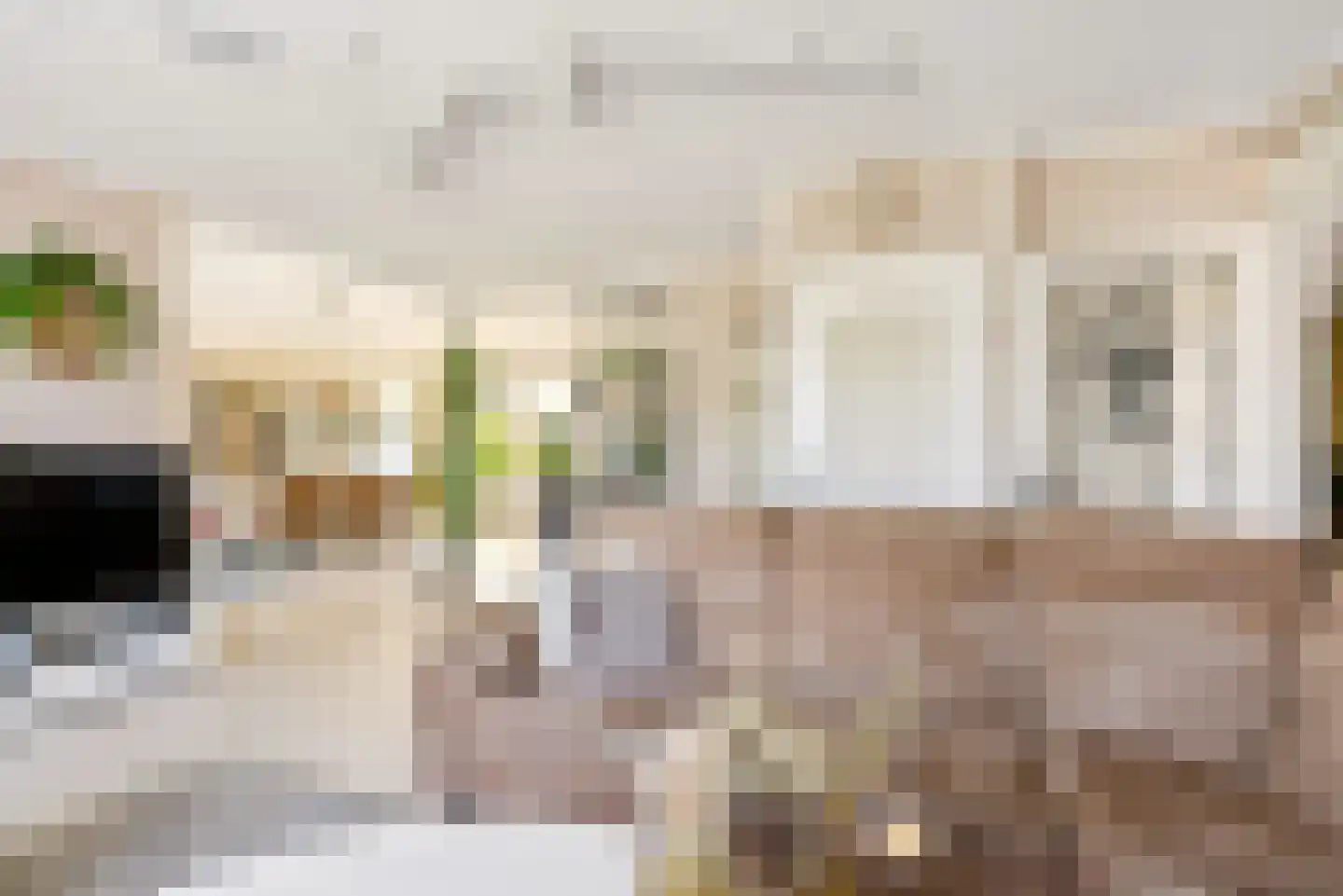 Bert Haanstrahof 20 Almere thumbnail 8