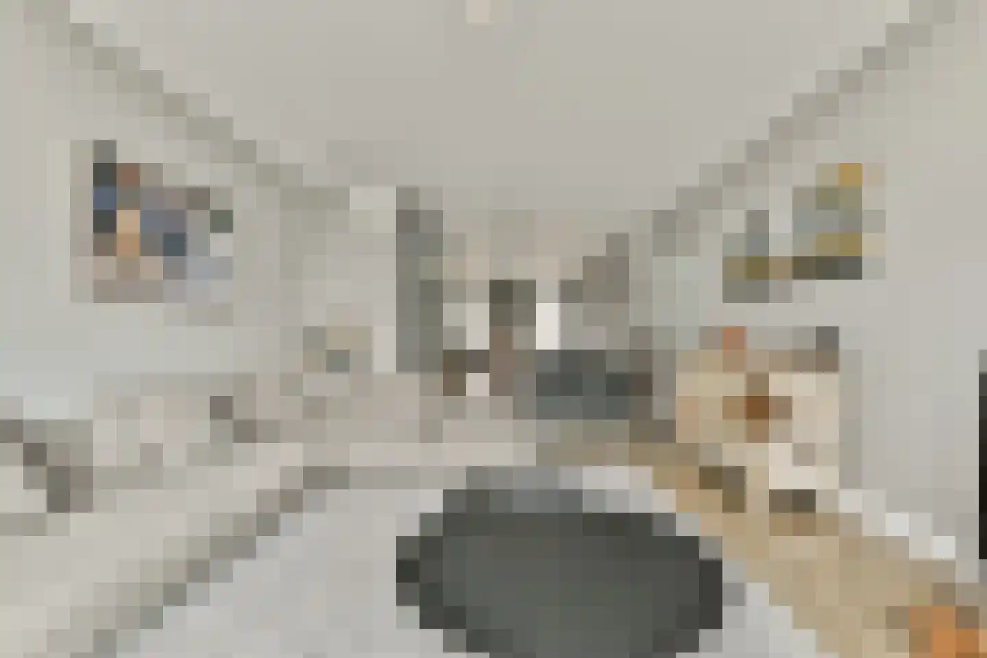 Bert Haanstrakade 212 Amsterdam thumbnail 13