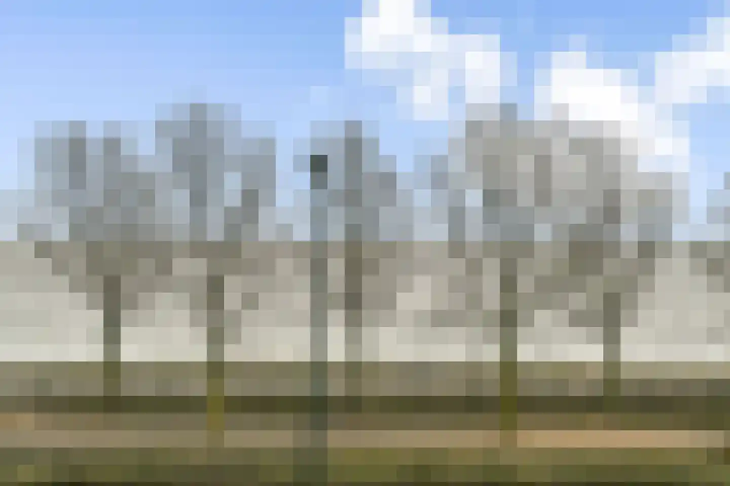 Bert Haanstrakade 212 Amsterdam thumbnail 15