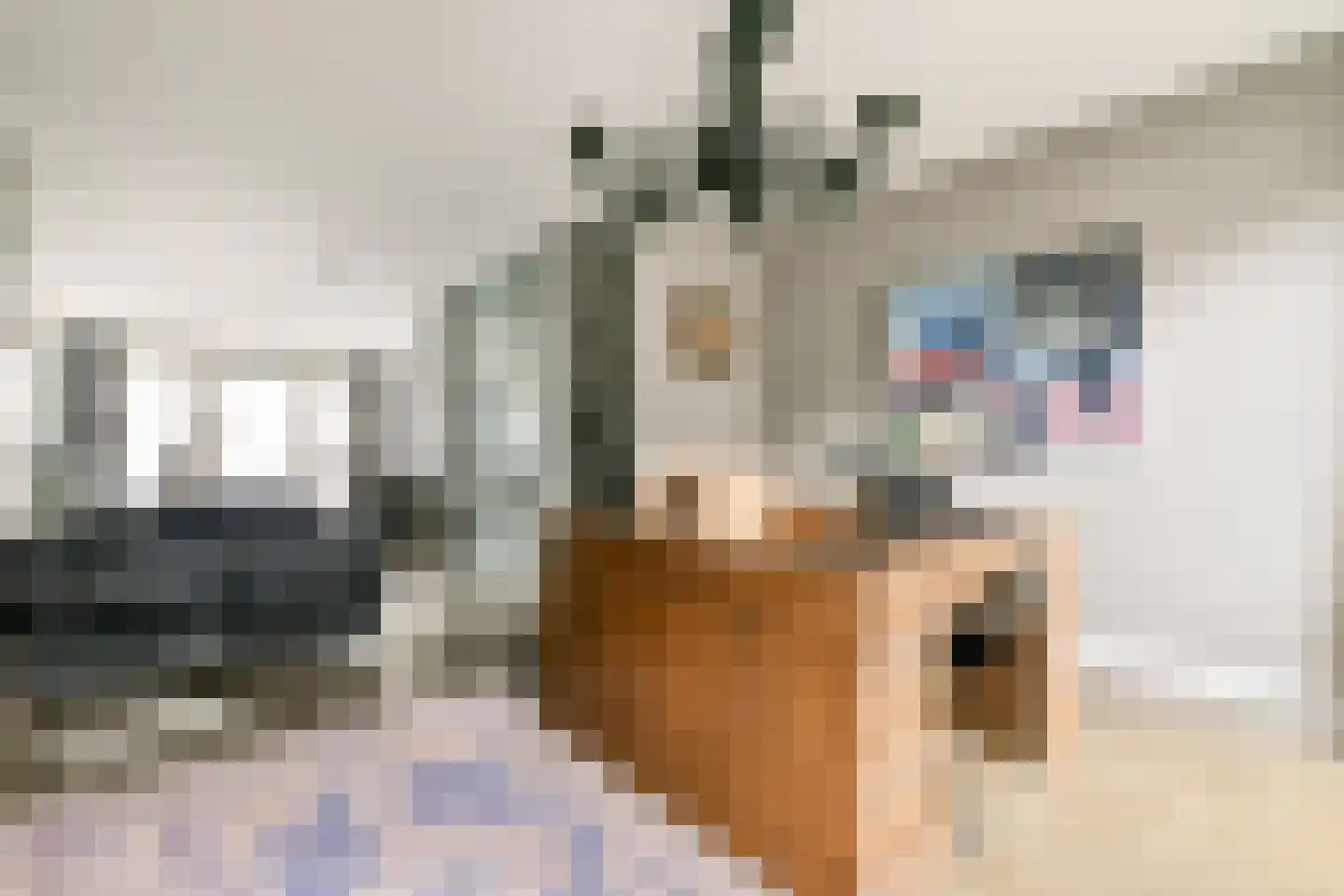 Bert Haanstrakade 212 Amsterdam thumbnail 17