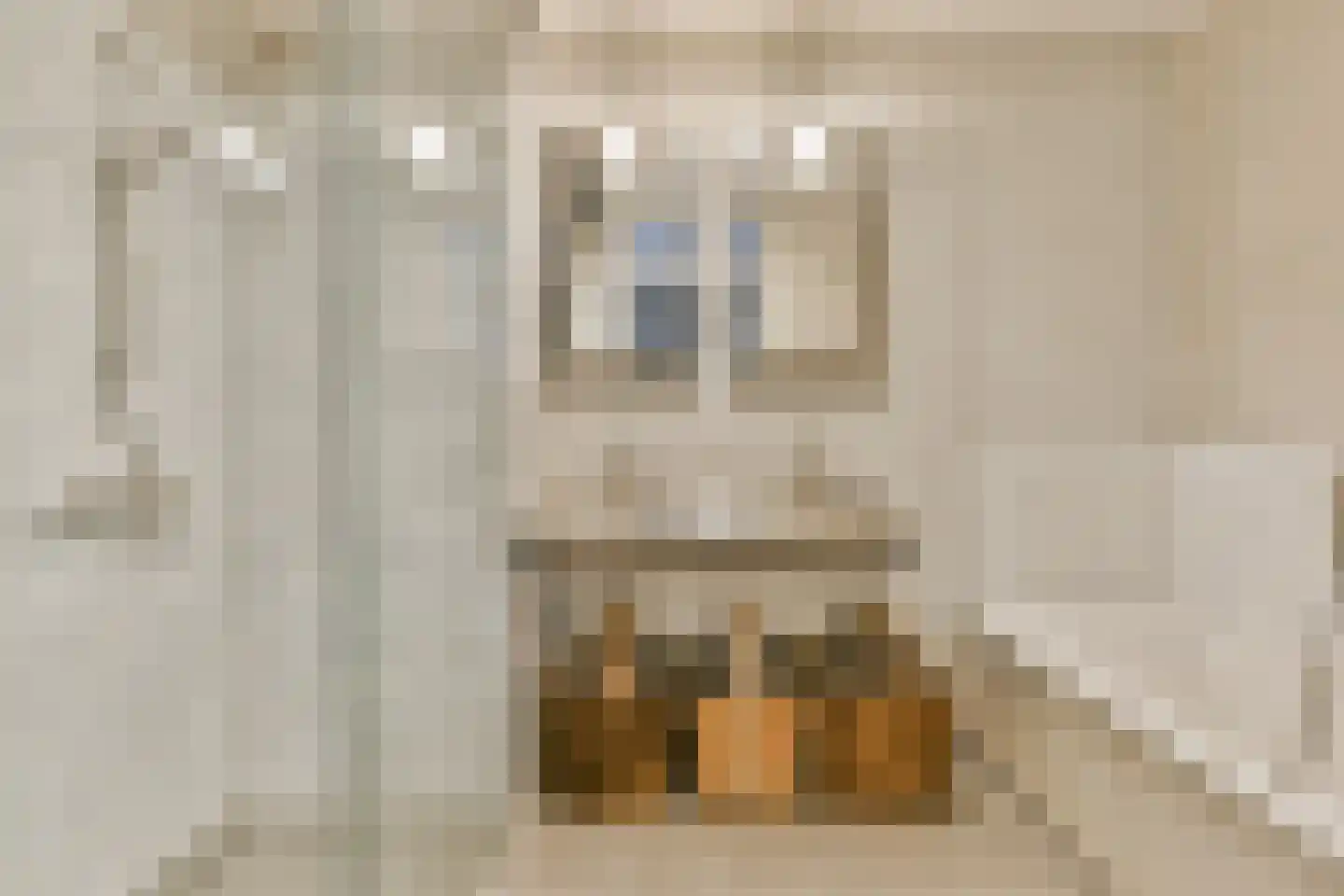 Bert Haanstrakade 212 Amsterdam thumbnail 19