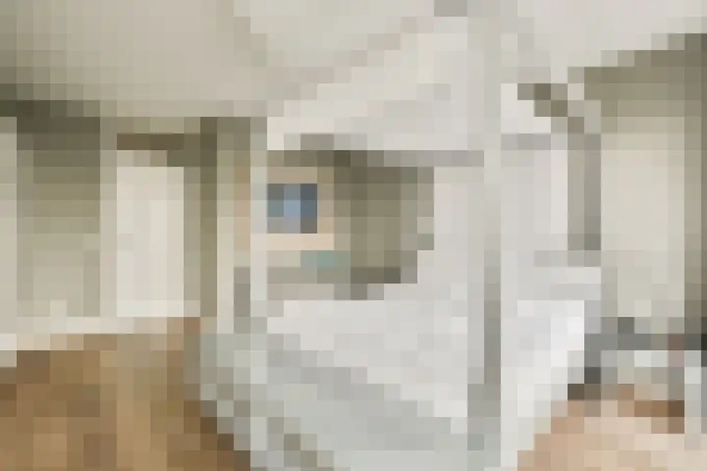 Bert Haanstrakade 212 Amsterdam thumbnail 21