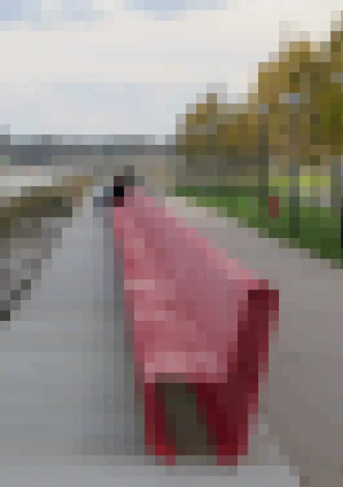 Bert Haanstrakade 212 Amsterdam thumbnail 35