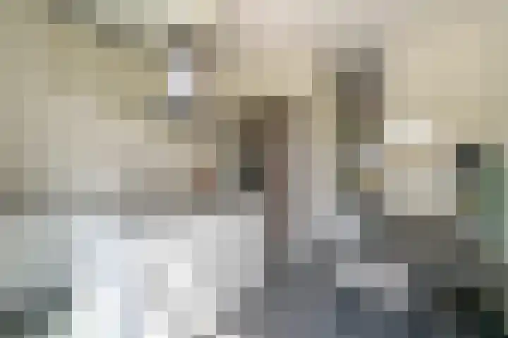 Bert Haanstrakade 244 Amsterdam thumbnail 11