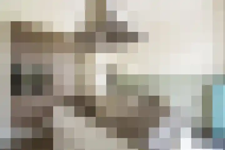 Bert Haanstrakade 244 Amsterdam thumbnail 12