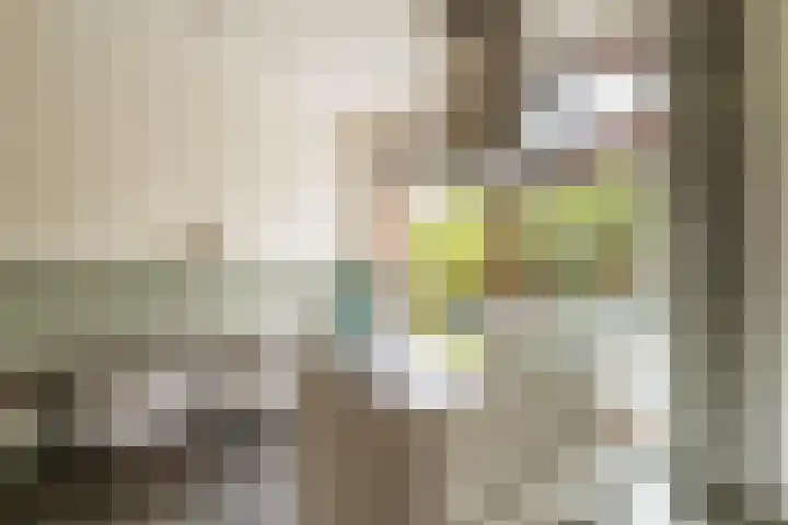 Bert Haanstrakade 244 Amsterdam thumbnail 13