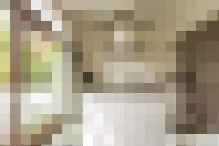 Bert Haanstrakade 244 Amsterdam thumbnail 16