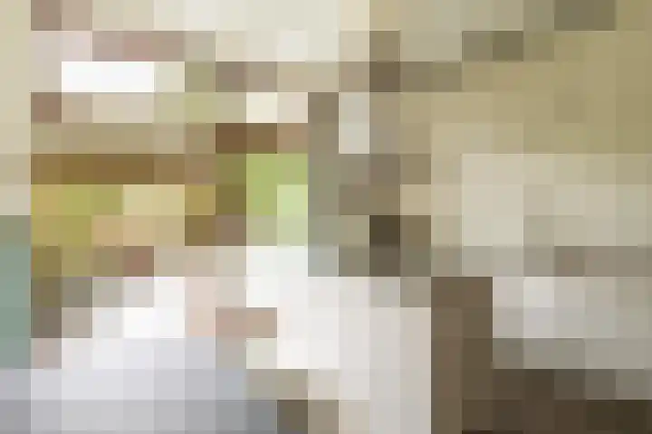 Bert Haanstrakade 244 Amsterdam thumbnail 17