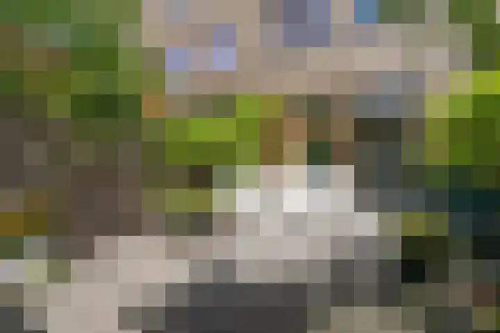 Bert Haanstrakade 244 Amsterdam thumbnail 19