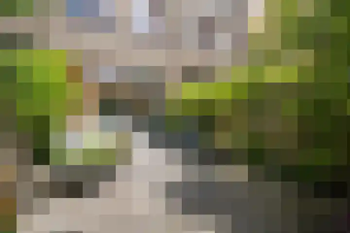 Bert Haanstrakade 244 Amsterdam thumbnail 20