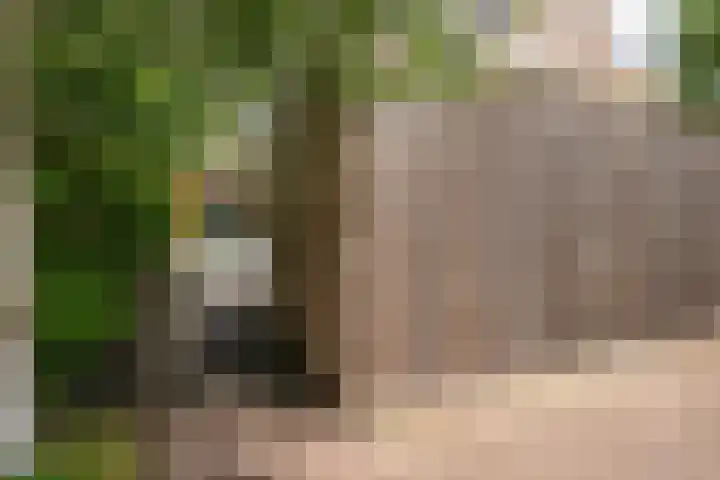 Bert Haanstrakade 244 Amsterdam thumbnail 21