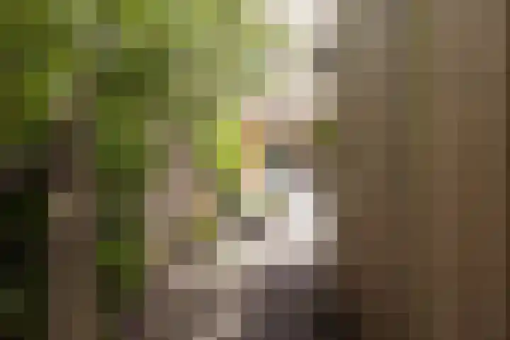 Bert Haanstrakade 244 Amsterdam thumbnail 23